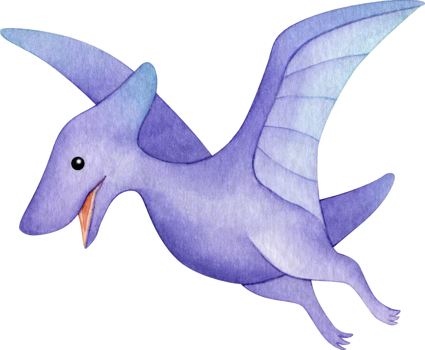 Dinosaur Theme
