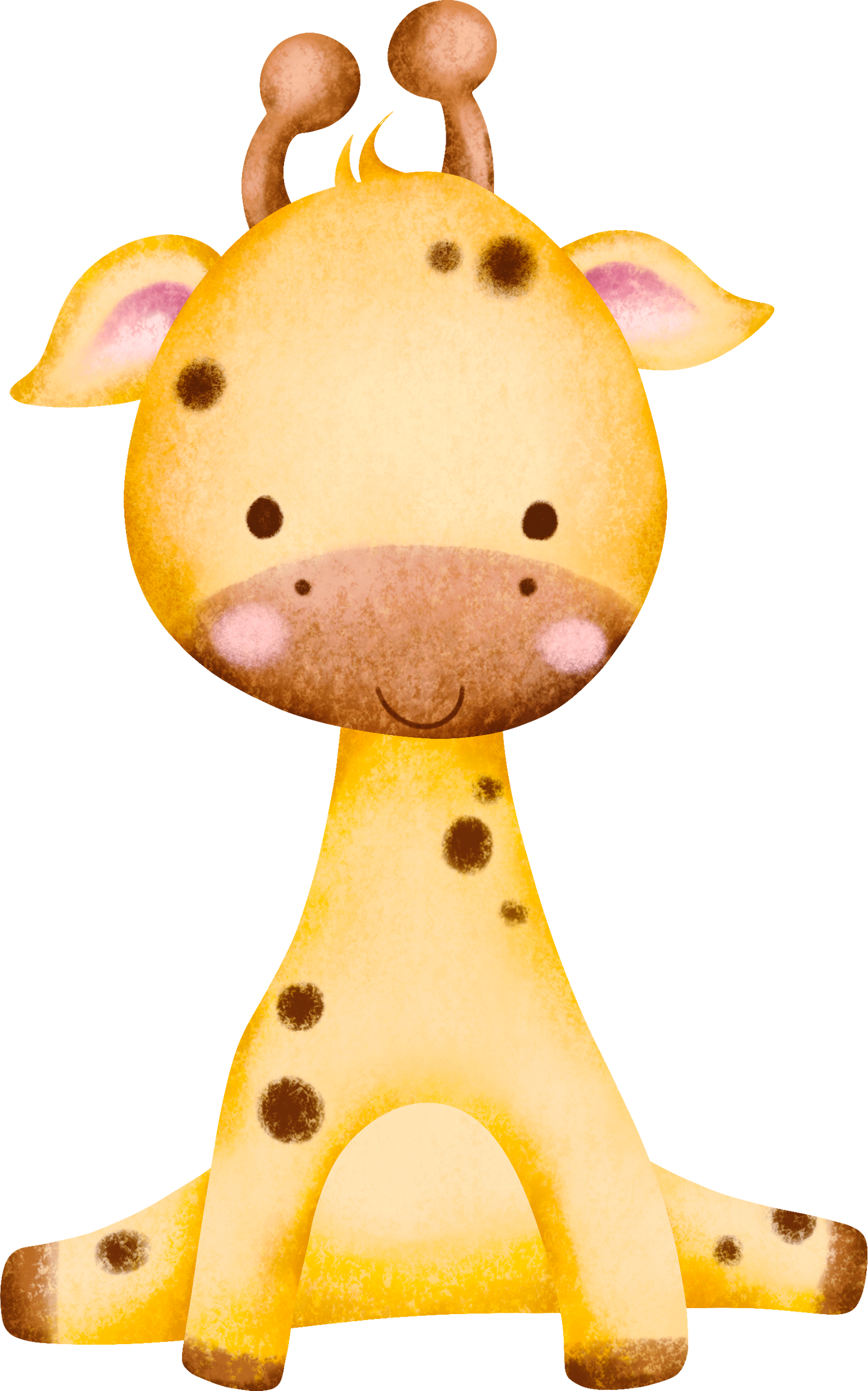 Baby Animals Theme