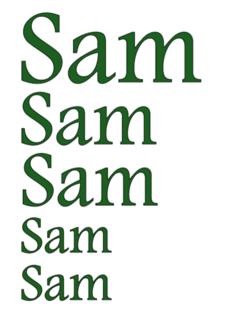 Vinyl Name Decal Set