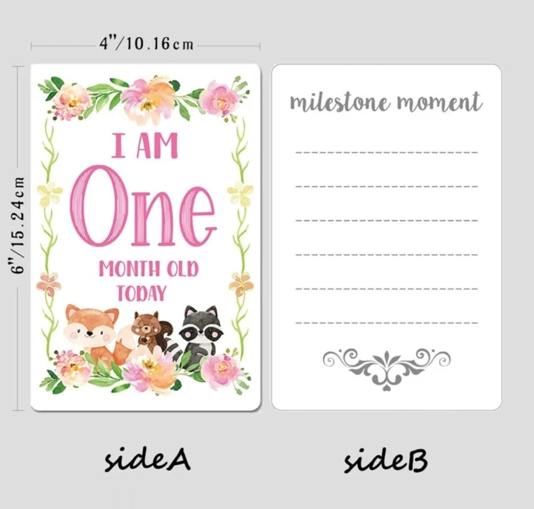 Baby milestone cards
