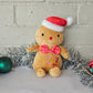 Christmas Personalised Plush Toy